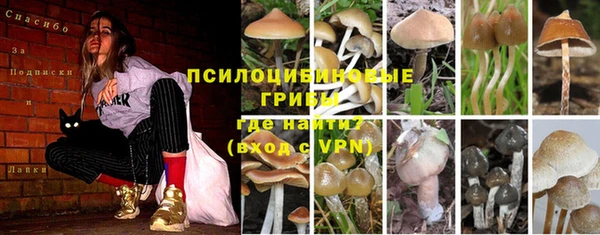 меф Кодинск