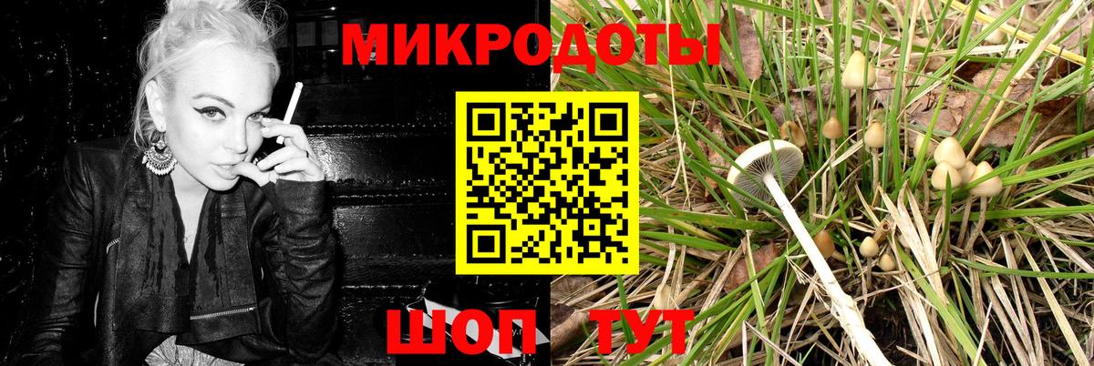 Галлюциногенные грибы мухоморы Нарьян-Мар