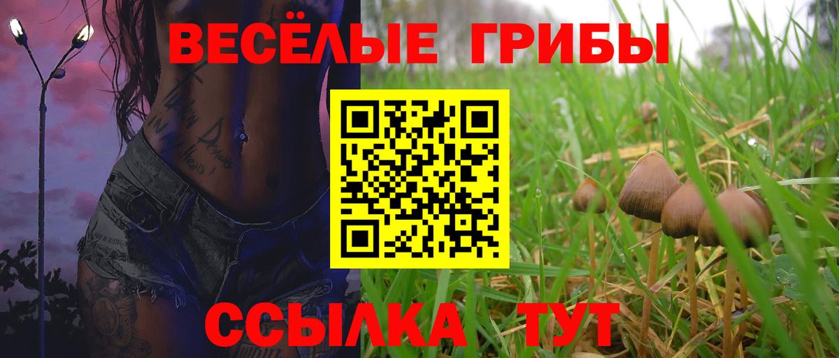 Нарьян-Мар  Галлюциногенные грибы прущие грибы  Вход с VPN 