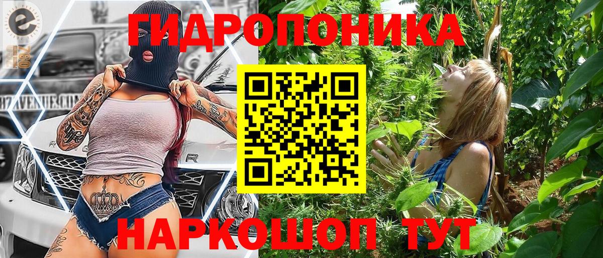 Марихуана гибрид Нарьян-Мар